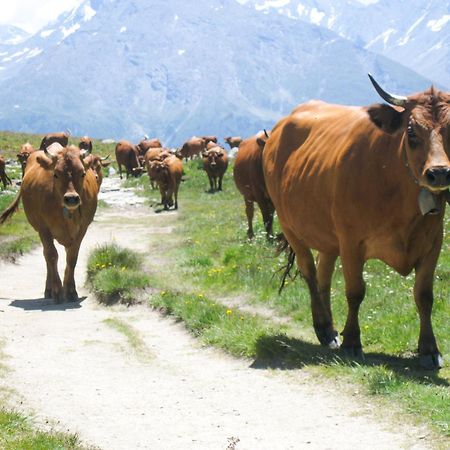 Aux Portes Du Parc National De La Vanoise Appartement Termignon Val Cenis Avec Wifi Eksteriør bilde