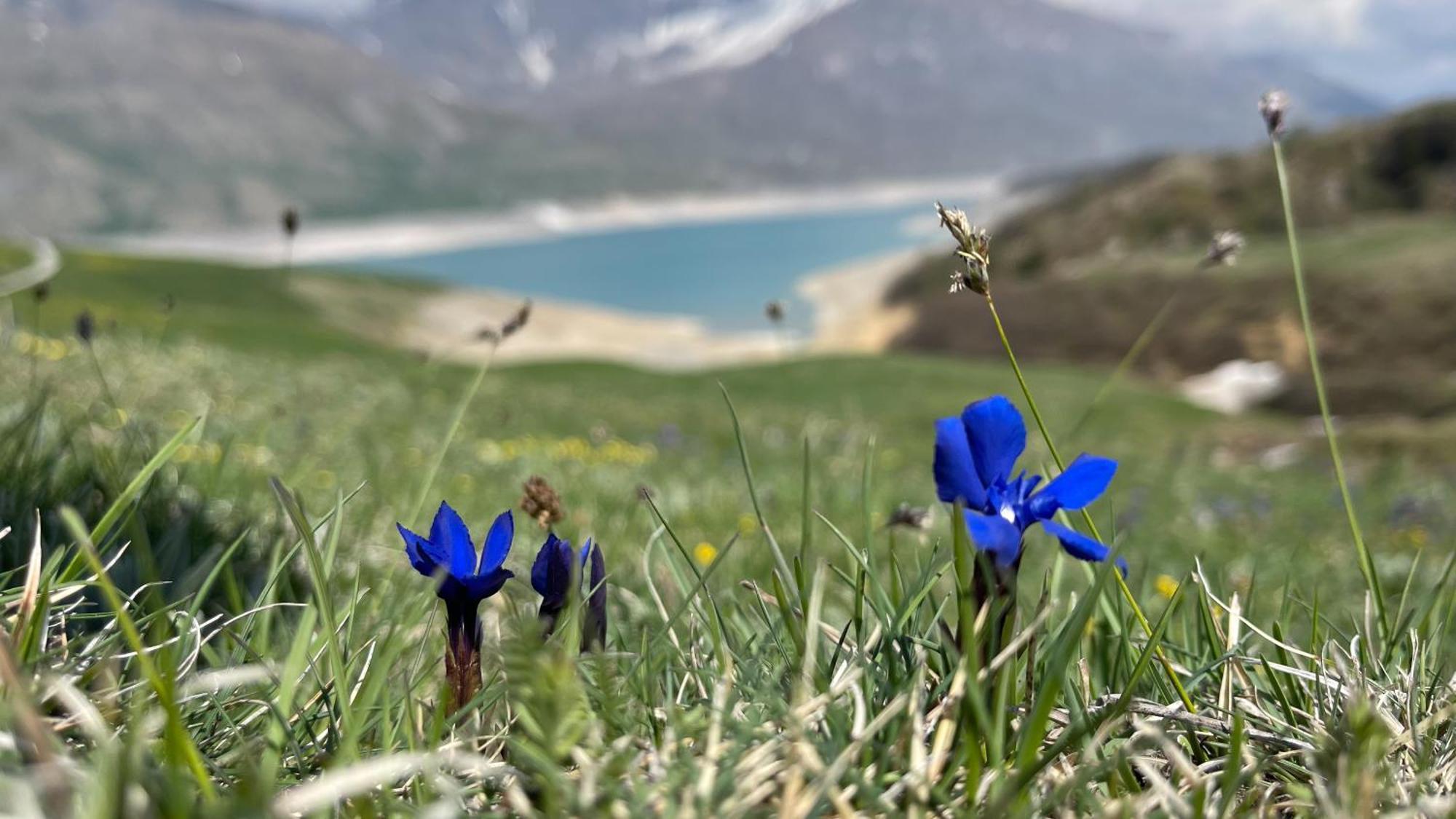 Aux Portes Du Parc National De La Vanoise Appartement Termignon Val Cenis Avec Wifi Eksteriør bilde