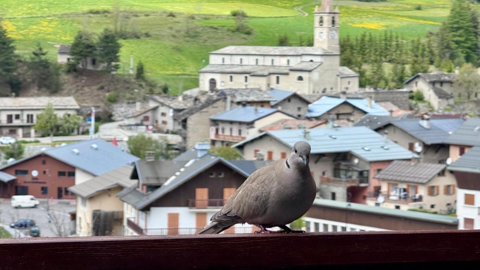 Aux Portes Du Parc National De La Vanoise Appartement Termignon Val Cenis Avec Wifi Eksteriør bilde
